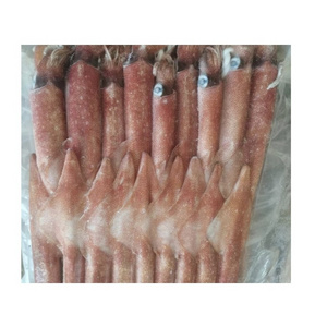 Best Quality Hot Sale Price Frozen Whole Loligo Squid (Seafood) From Norway