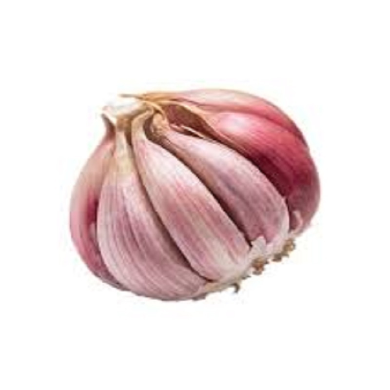 Garlic packing bags/red price/fresh purple/supplier peeled garlic