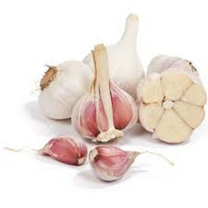 Garlic packing bags/red price/fresh purple/supplier peeled garlic