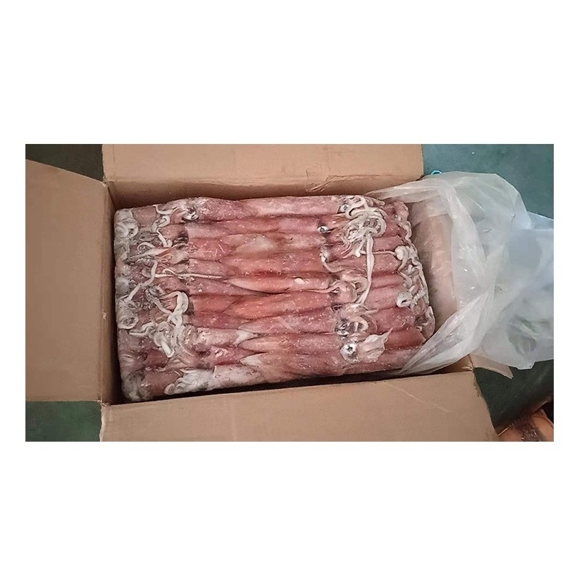 Best Quality Hot Sale Price Frozen Whole Loligo Squid (Seafood) From Norway