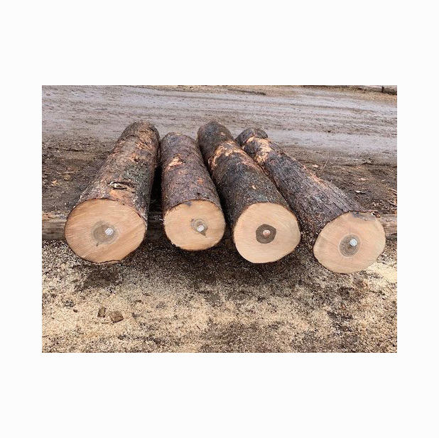 Hot sale Solid Wood Pine Wood/ Sawn Timber Wood Species /Solid Wood Boards Bubinga timber