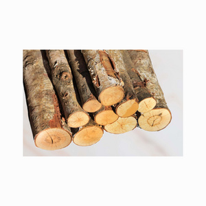 Hot sale Solid Wood Pine Wood/ Sawn Timber Wood Species /Solid Wood Boards Bubinga timber