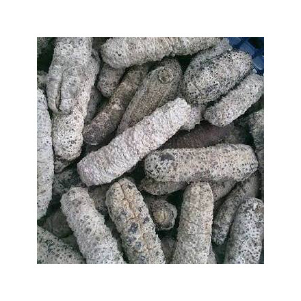 High Quality Dry Sea Cucumber