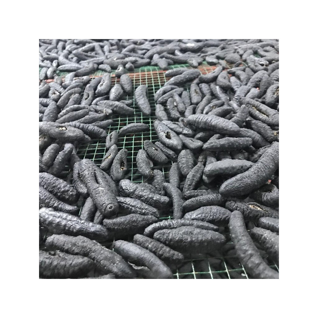 High Quality Dry Sea Cucumber