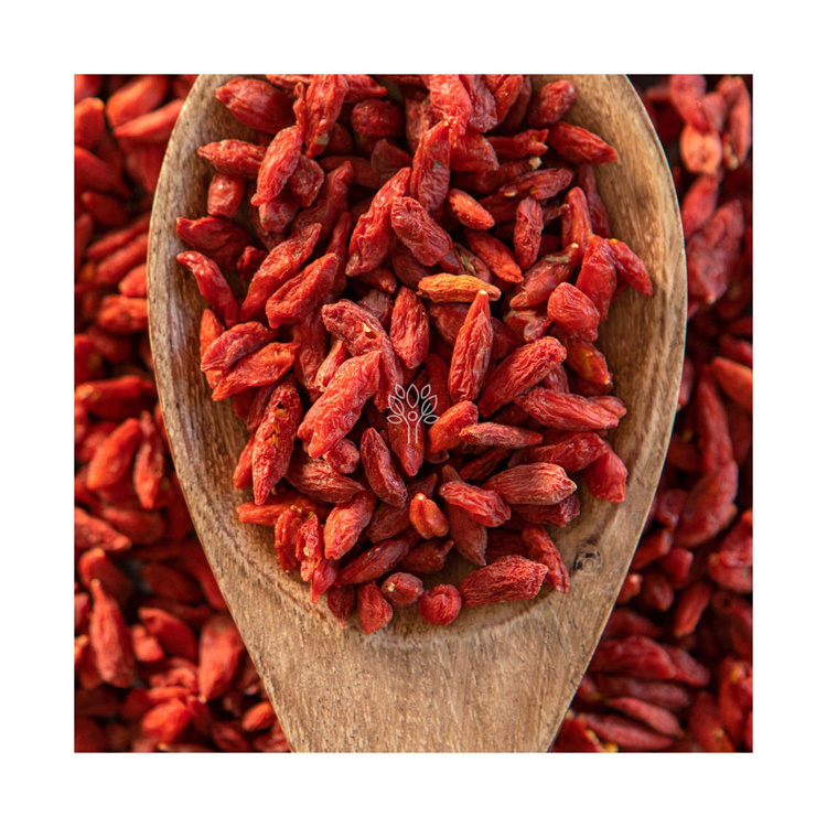 Factory Manufacture Various Tradition Dried Goji Berries High Quality Natural Berries Dried Goji Berry