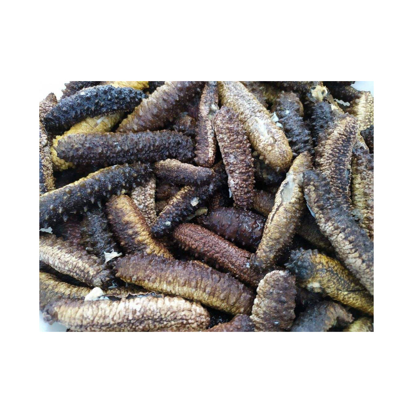 High Quality Dry Sea Cucumber