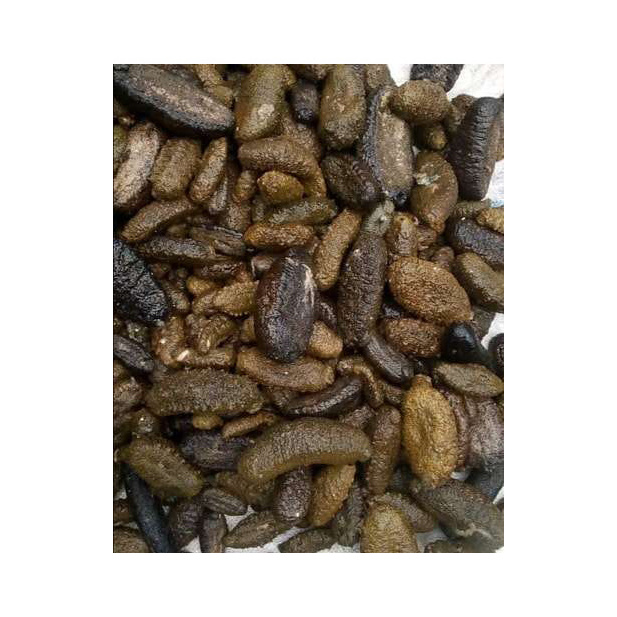 High Quality Dry Sea Cucumber