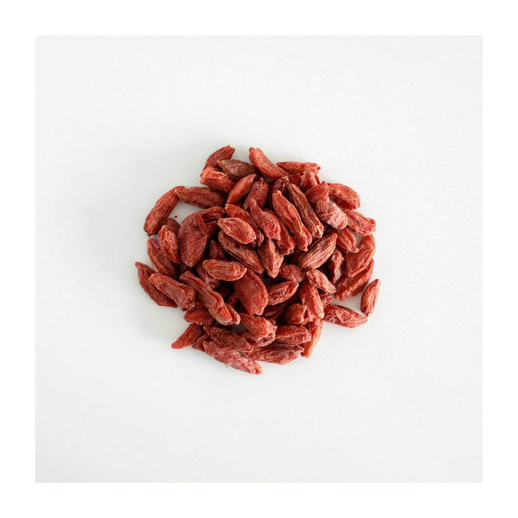 Dried red Goji Berries healthy food organic plant Dried fruit wolfberry