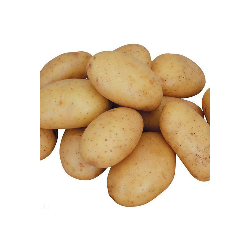 Organic Fresh Potatoes High Quality