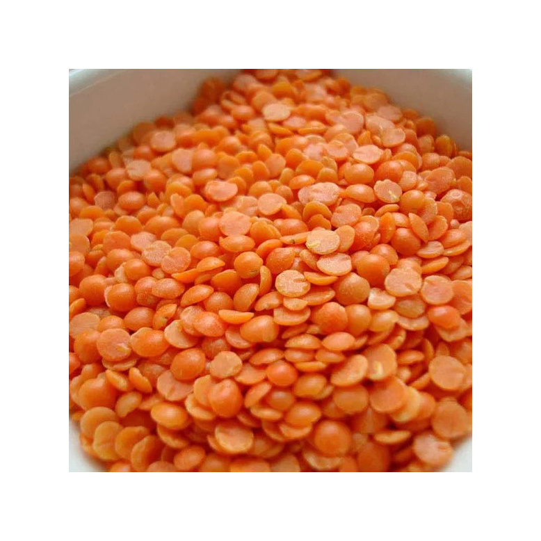 High Quality Crimson Lentils / Green Lentils Price / Red Lentils