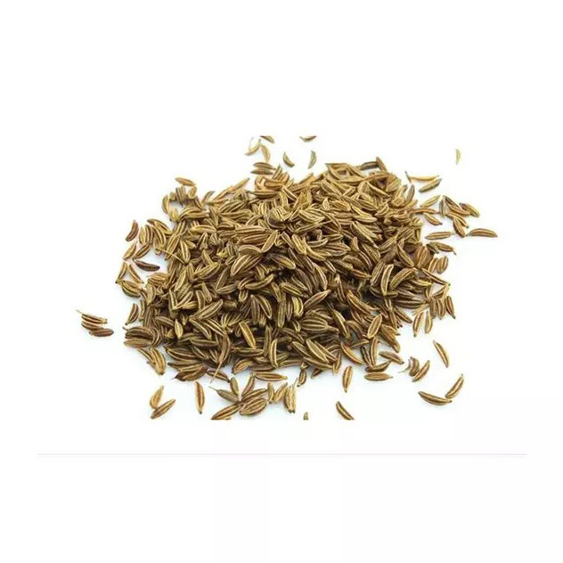 Hot Sale High Quality Low Price Single Spices Herbs Supplier Premium Wholesale Manufacture Egyptian Cumin For Export From Brazil