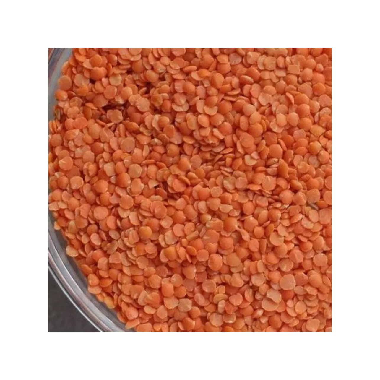 High Quality Crimson Lentils / Green Lentils Price / Red Lentils