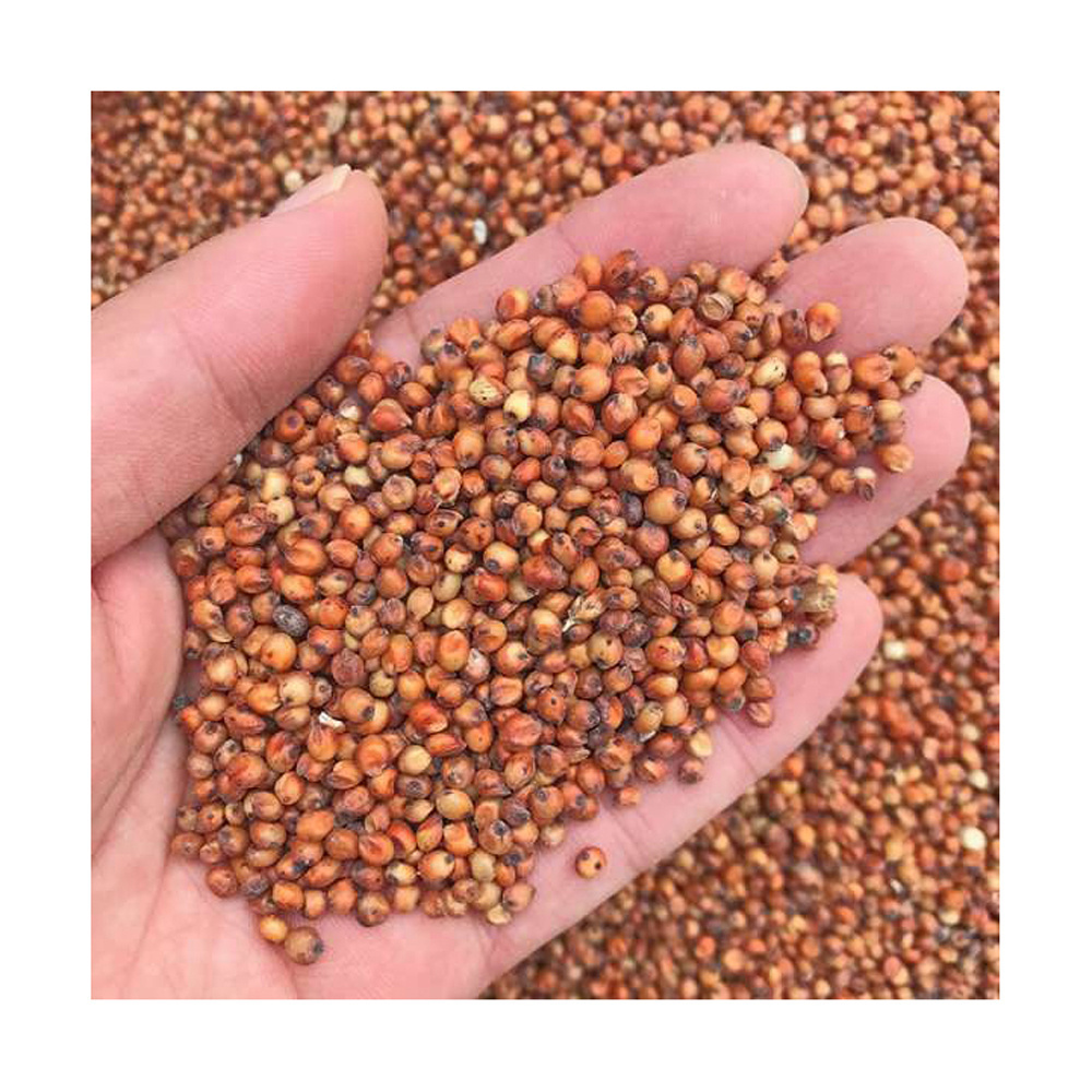 Organic hulled (Natural) Sorghum Seeds