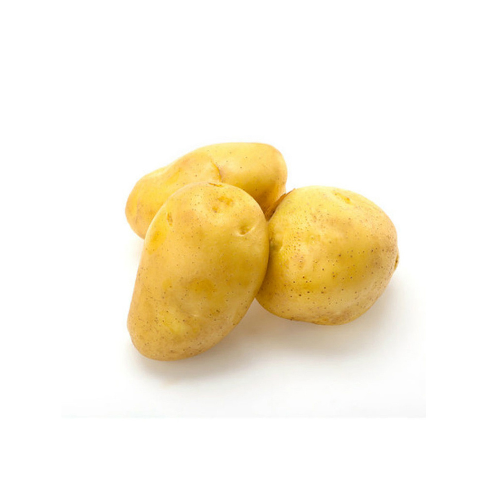 Organic Fresh Potatoes High Quality