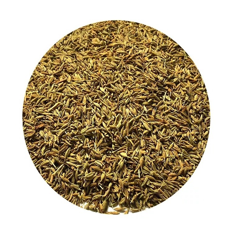 Hot Sale High Quality Low Price Single Spices Herbs Supplier Premium Wholesale Manufacture Egyptian Cumin For Export From Brazil