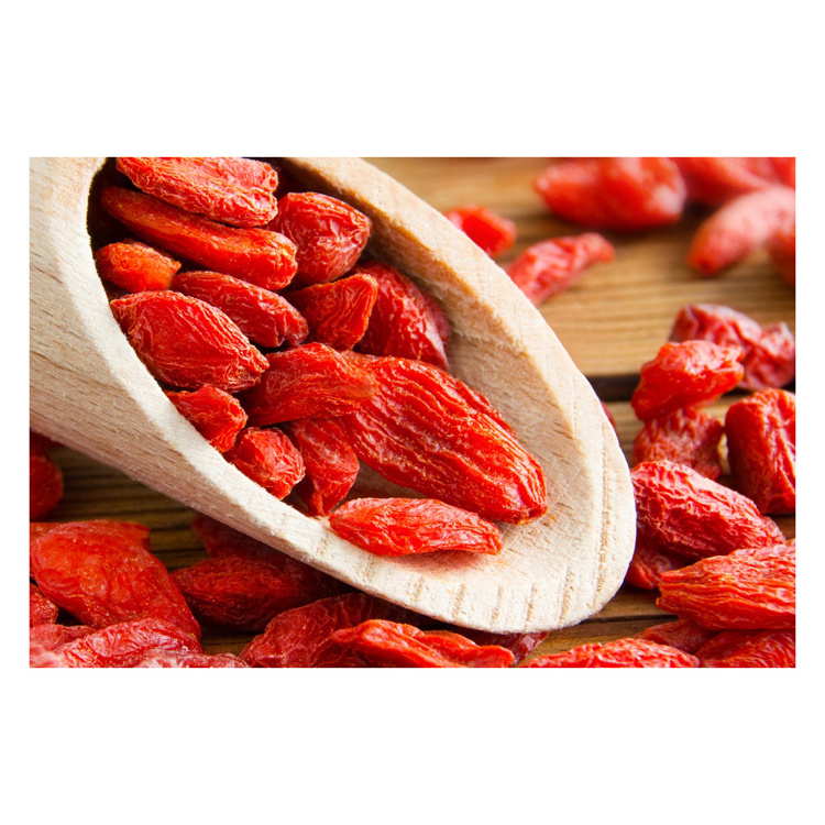 Dried red Goji Berries healthy food organic plant Dried fruit wolfberry