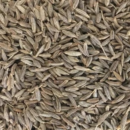 Hot Sale High Quality Low Price Single Spices Herbs Supplier Premium Wholesale Manufacture Egyptian Cumin For Export From Brazil