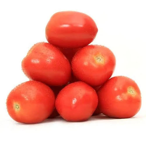 Red Heathy  Fresh Tomatoes / Cheap Price Fresh Tomatoe