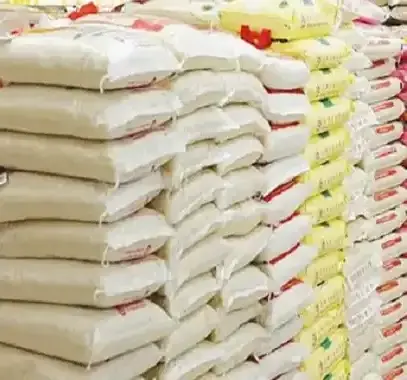 100% Broken Rice High Quality Best Price 100% Broken Rice Export to China Hot Deal 100% White Broken Rice