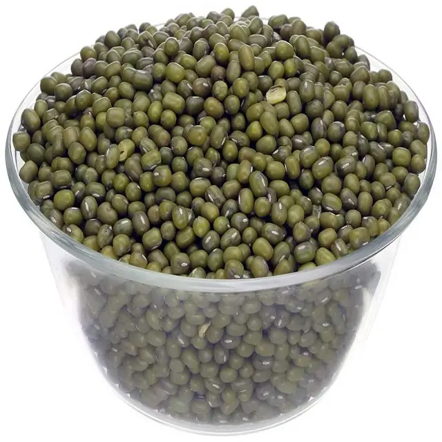 Wholesale Natural Bulk Dried Mung Beans /  Mung beans for Food