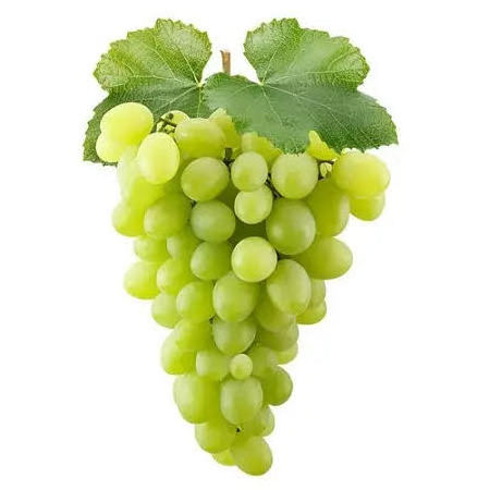 Fresh  Sweet Chinese Grape