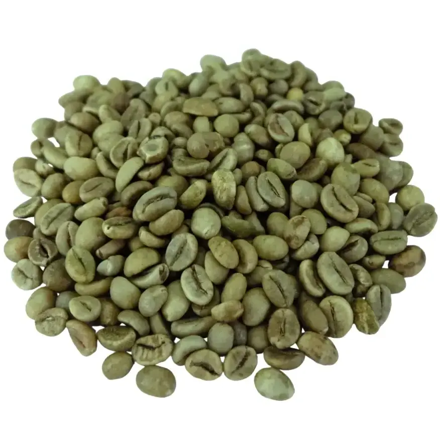 Robusta & Arabica Coffee beans - High quality - 100% for sale