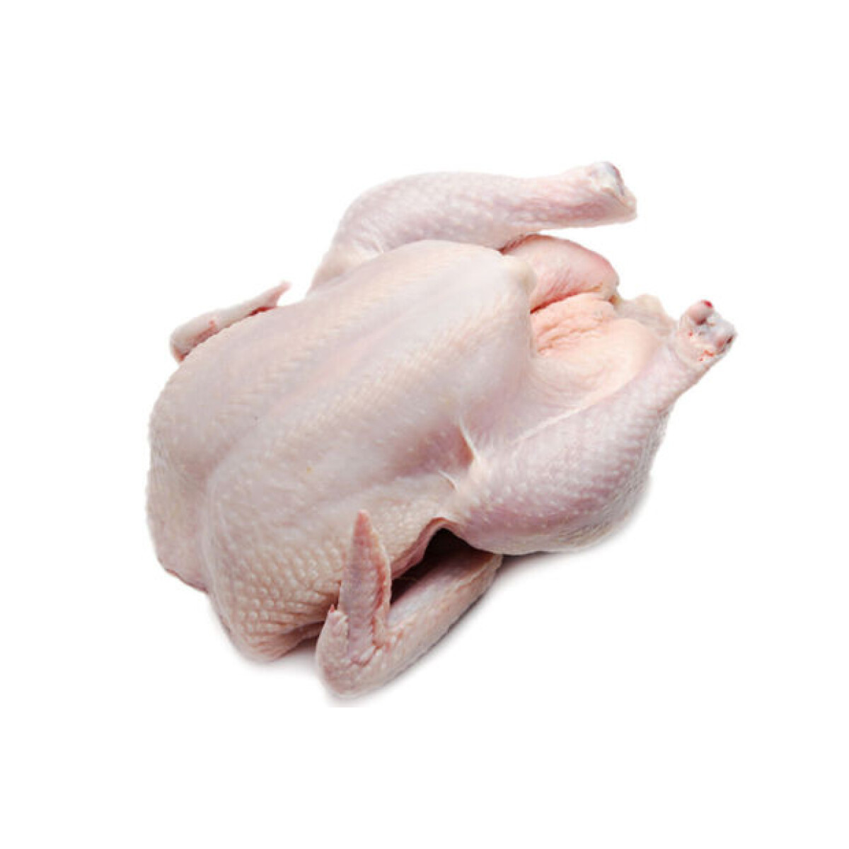 High Quality Halal Frozen Whole Chicken Italy