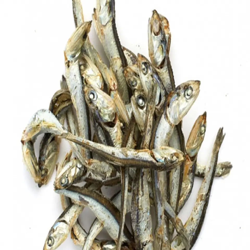 Bulk Dried Anchovy Fish , Dried Salted Anchovy/ Dry Fish Anchovy Fish Best Sales Grade a High Nutritive 100%