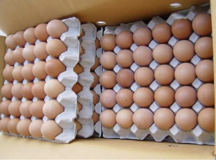 Buy Farm Fresh Fertile White Fresh Chicken Table Eggs/ Ostrich Eggs/Chicks/ For Sale-