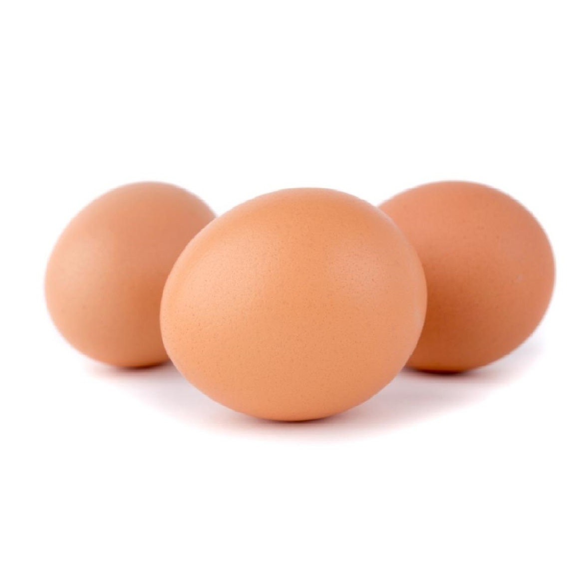 Buy Farm Fresh Fertile White Fresh Chicken Table Eggs/ Ostrich Eggs/Chicks/ For Sale-