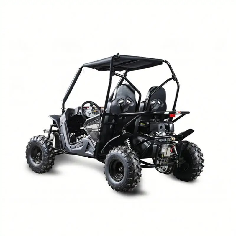 Buy Wholesale Quality 175cc 275cc automatic 4 stroke dune buggy for adults, gas powered go kart for sal