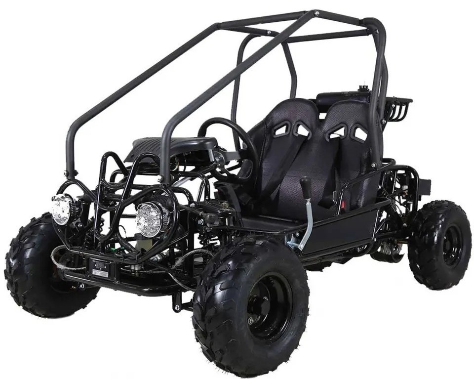 Buy Wholesale Quality 175cc 275cc automatic 4 stroke dune buggy for adults, gas powered go kart for sal