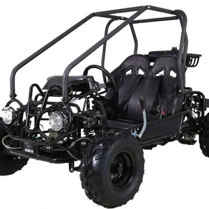 Buy Wholesale Quality 175cc 275cc automatic 4 stroke dune buggy for adults, gas powered go kart for sal