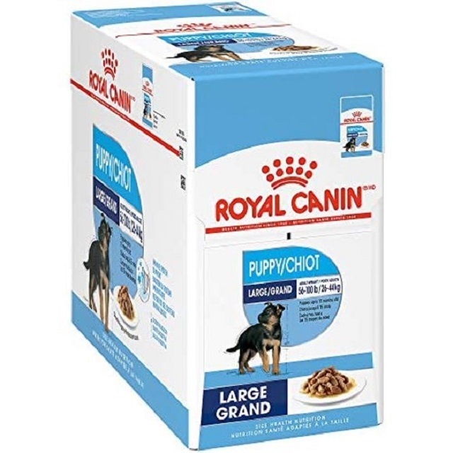 Royal Canin Mini Adult Dry Dog Food (2Kg, 4Kg, 8Kg) Dog and Cat Food Dry Dog Food Exporters / Royal Canin