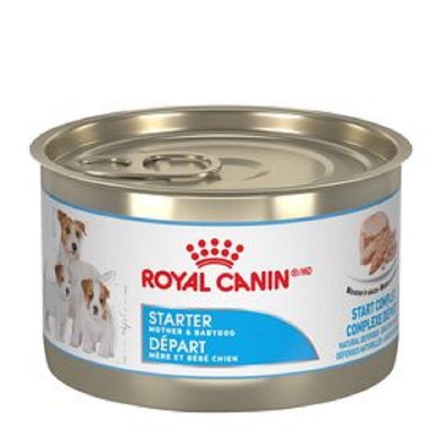 Royal Canin Mini Adult Dry Dog Food (2Kg, 4Kg, 8Kg) Dog and Cat Food Dry Dog Food Exporters / Royal Canin