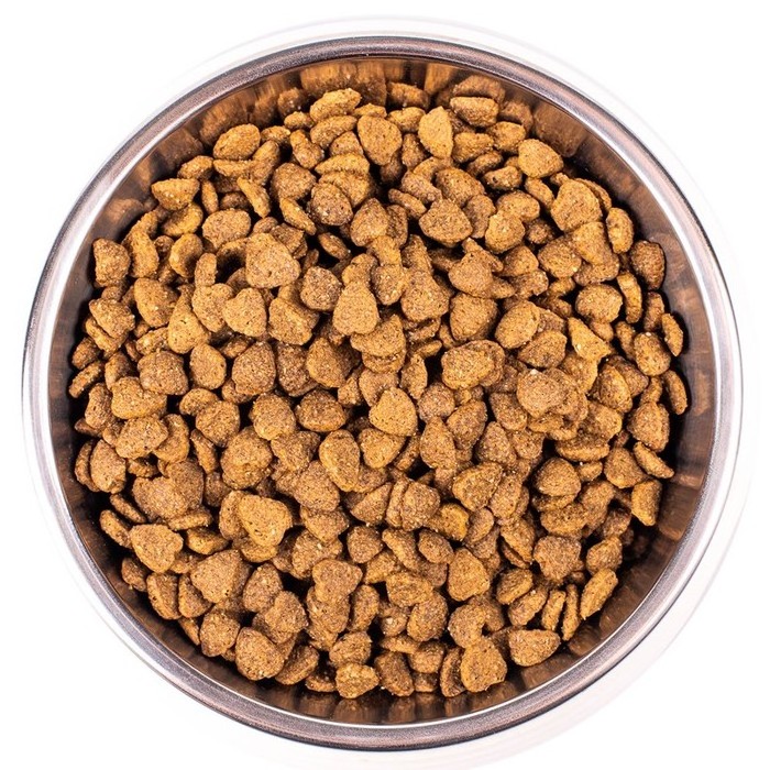 PET Food : Dograng Family Chicken+Rice Dog Dry Food for Senior Dog