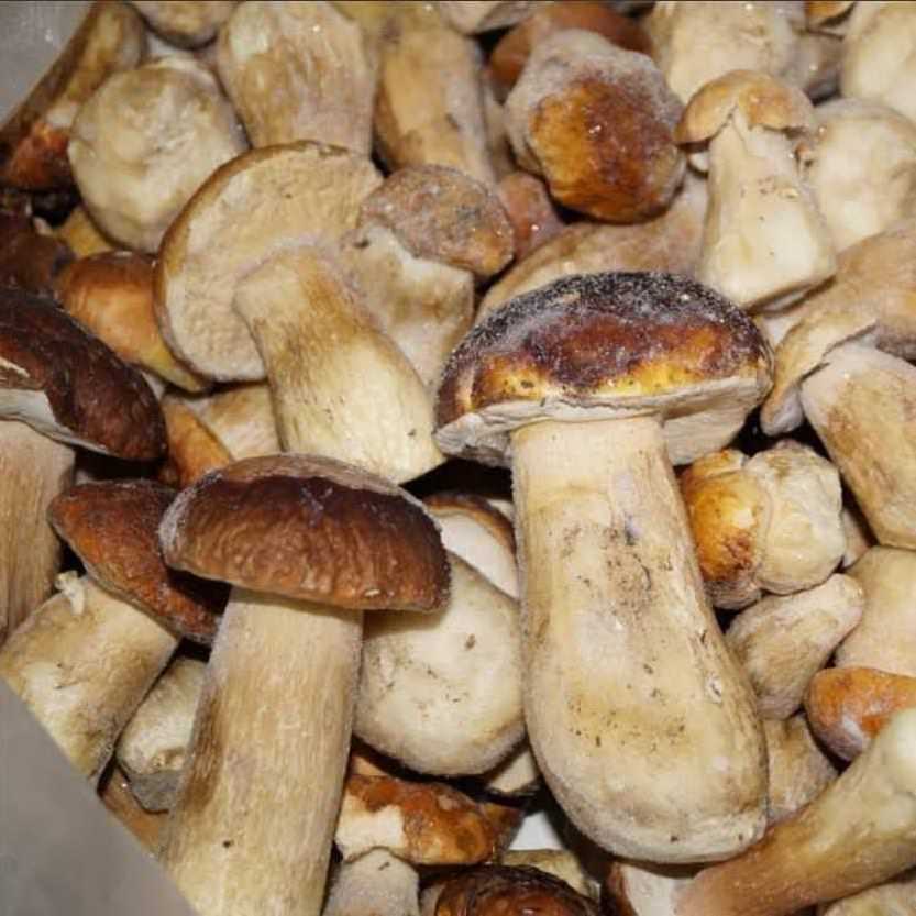 Factory price dried shiitake edible dry mushroom wholesale