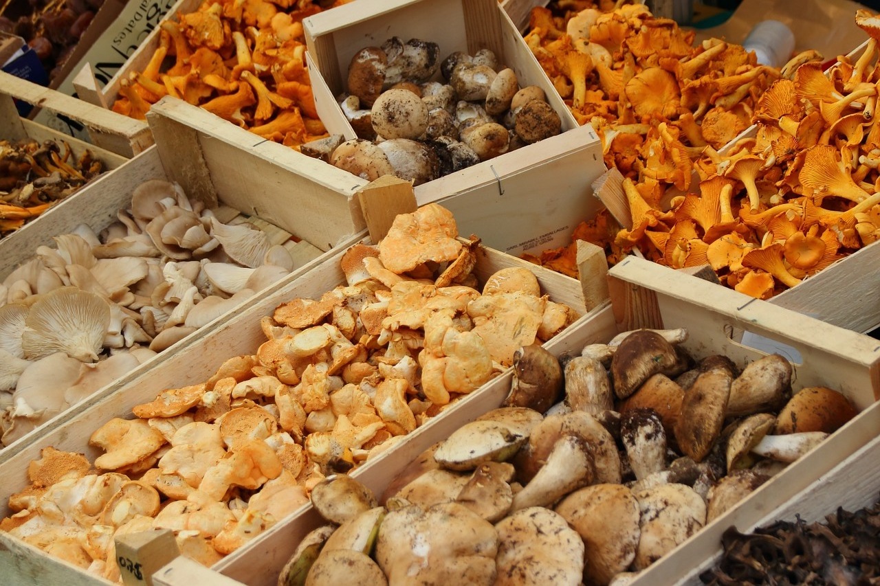 Mushroom Fresh Shiitake Mushroom Export Wholesale Market Price