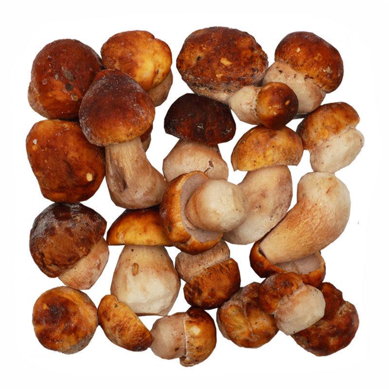 Best Price IQF Frozen Fresh White Beech Button Champignon Mushroom Sliced