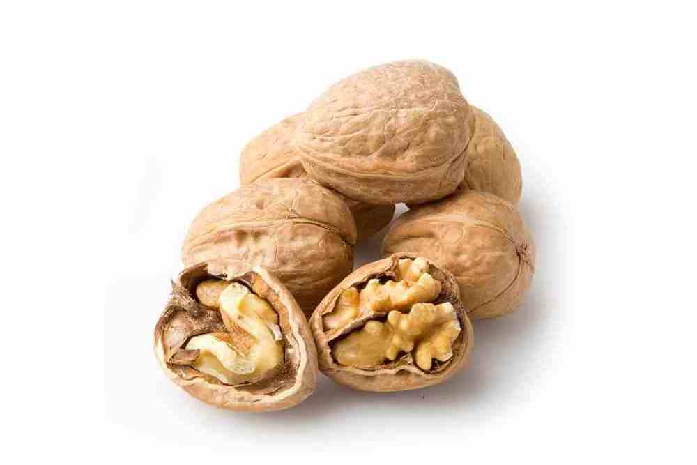 2023 New Shellless Organic Walnut Kernel Factory for Sale at Bottom Price