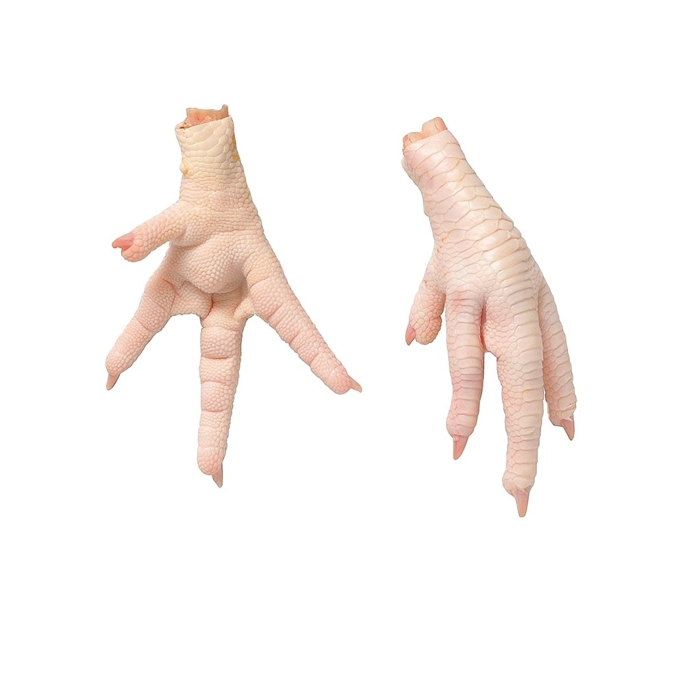 Wholesale Manufacturer and Supplier Frozen Chicken Fresh Whole/ Feet/ Legs Quarters From Brazil High Quality Cheap Price