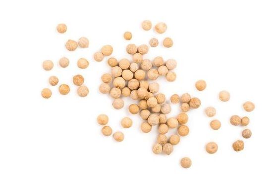 Good quality Chickpeas for food industry and cooking manufacturer prices hot sale in bulk grains and beans