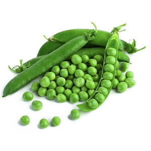 High quality organic green dried peas