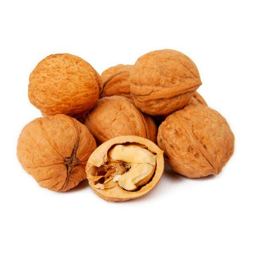 Premium Quality Wholesale Walnuts For Sale In Cheap Price