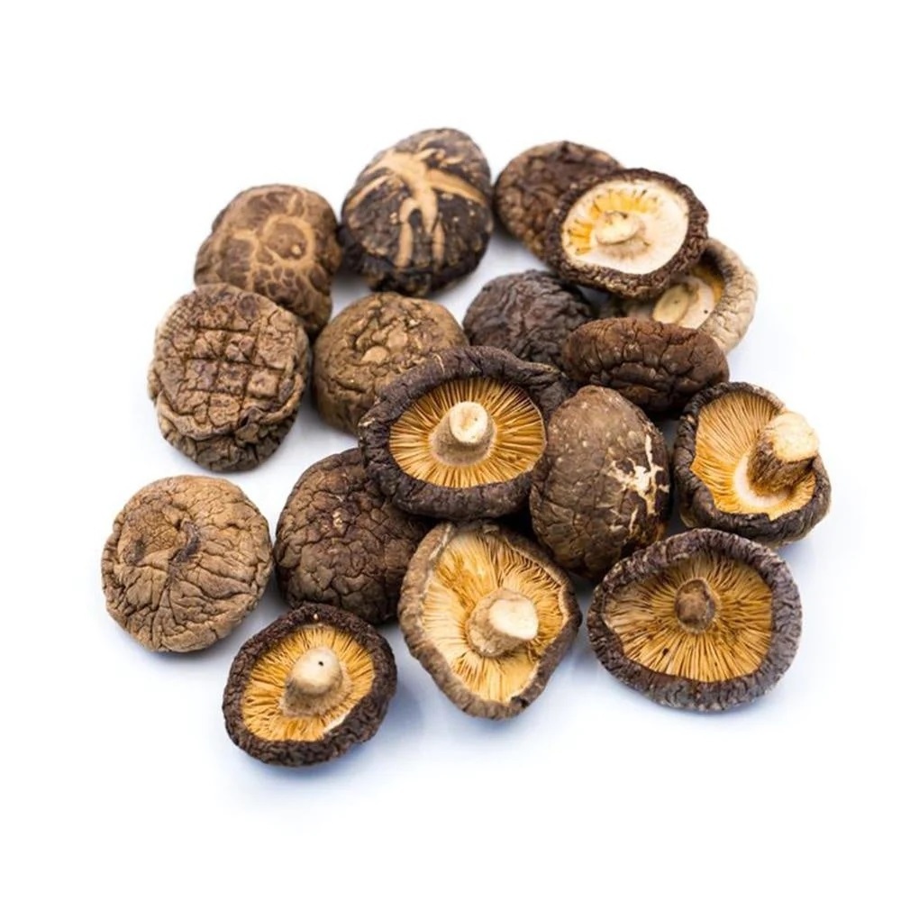 Buy Mushrooms / dried mushrooms / fresh mushrooms