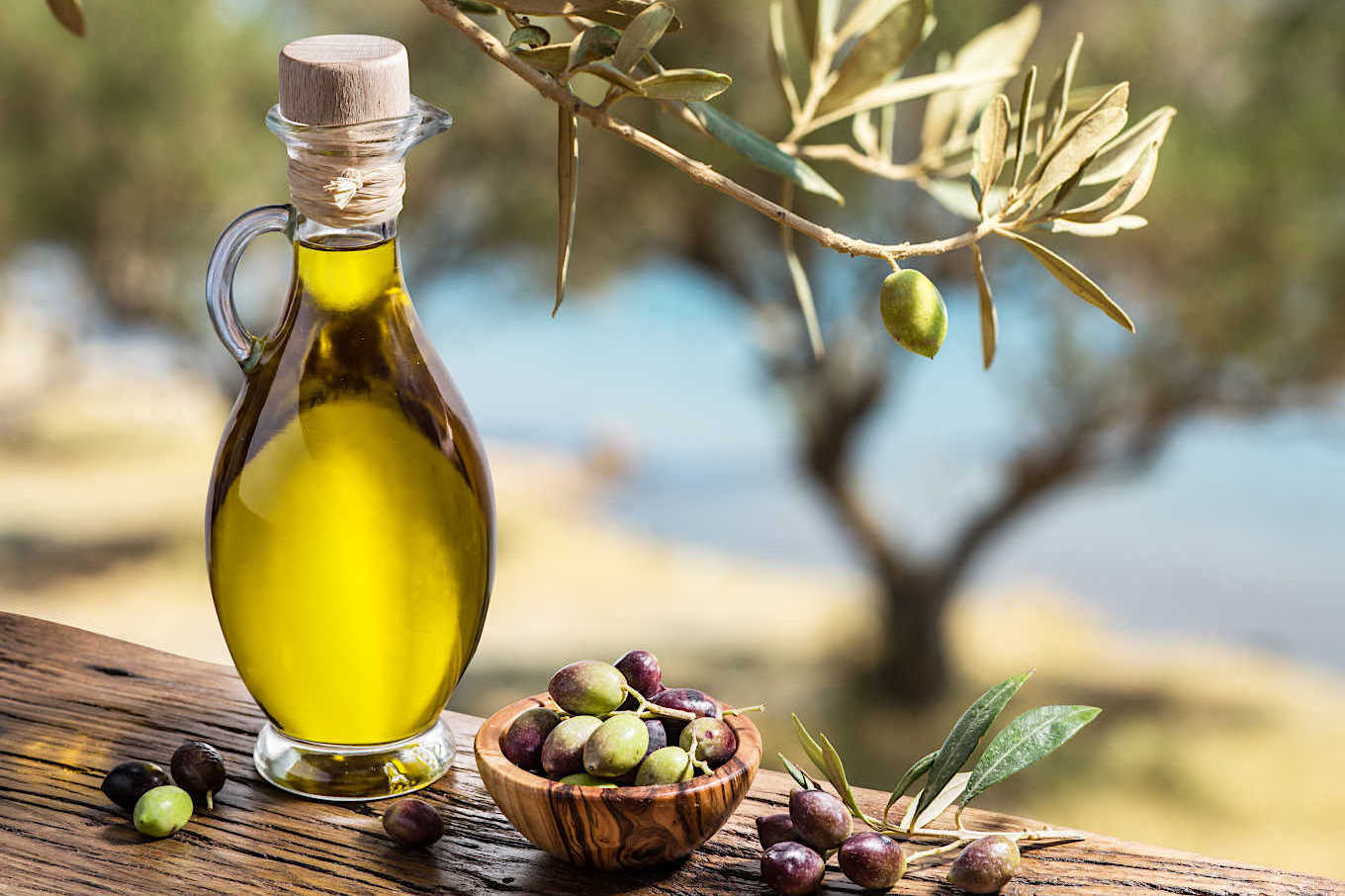 Extra Virgin Olive oil 500 ml the best for cooking and seasoning 2 years shelf life Wholesale from egypt exporter