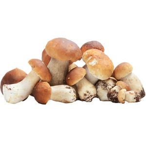 Factory price dried shiitake edible dry mushroom wholesale