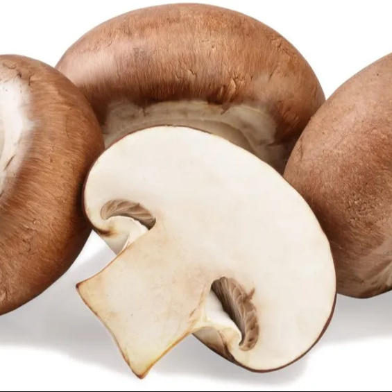 Factory price dried shiitake edible dry mushroom wholesale