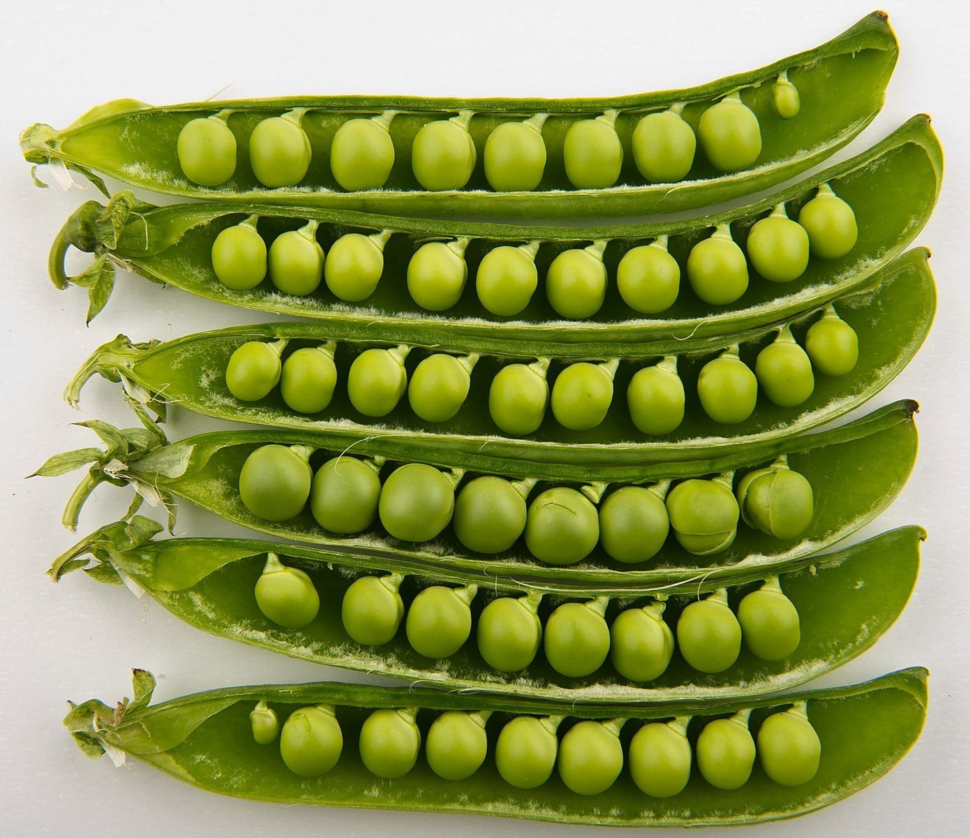 High quality organic green dried peas