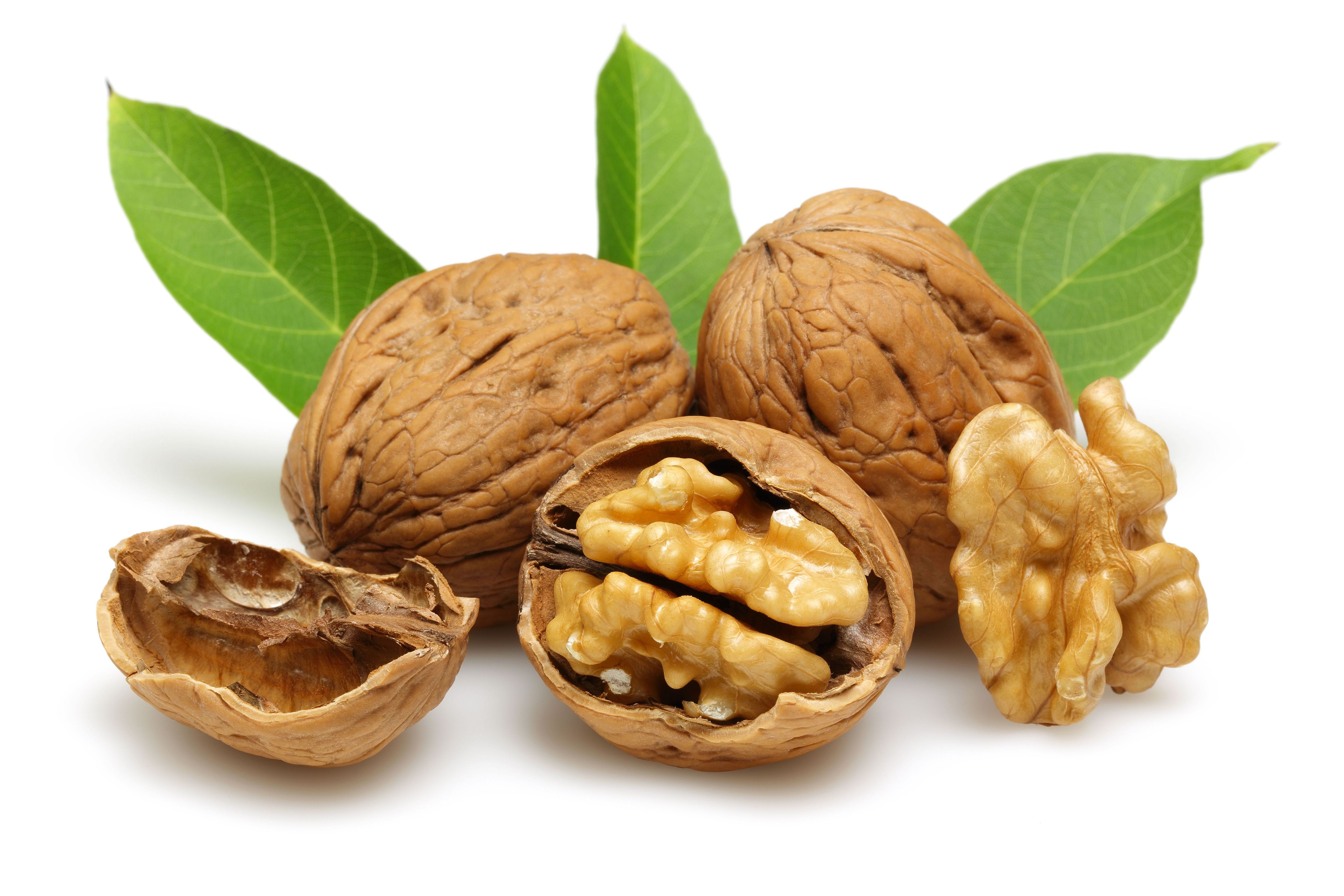 2023 New Shellless Organic Walnut Kernel Factory for Sale at Bottom Price